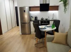 Studio Nr 4 close to Medicover and Paley Institute