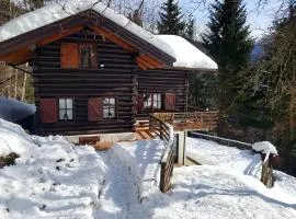 Chalet “In dai Guriuz”