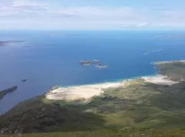 Old head view