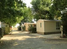 Friendly campsite near the popular seaside resort of Le Cap d'Agde