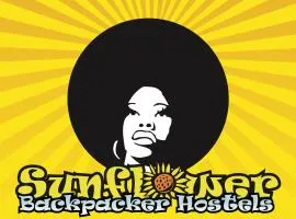 Sunflower City Student Hostel & Bar