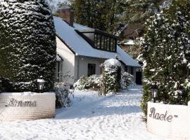 Modern Palace Emma Staete，位于巴恩的酒店