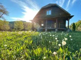 Гаєнка Мокра