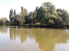 Rosy Garden in the winter