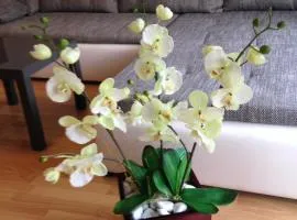 Ferienwohnung Michelle