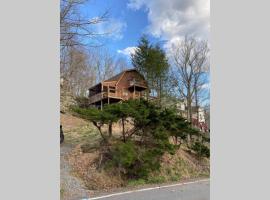 Regent Hilltop Cabin，位于Sandyville的酒店