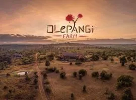 欧丽潘基农场山林小屋