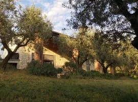 Agriturismo Bosco Magico