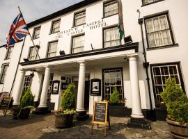 城堡酒店，位于兰达弗里的宠物友好酒店