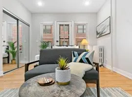 Chic & Updated Studio Apt in East Lakeview - Barry S1