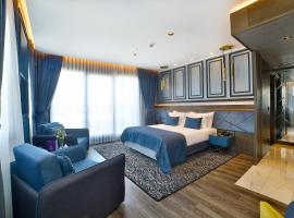 紫水晶酒店，位于伊斯坦布尔阿克萨赖的酒店