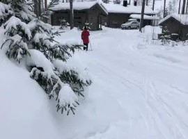 Beautiful lakeside Villa Vetojärvi