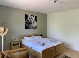 Apartments Zaanse Schans and Amsterdam