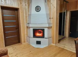 Омріяні Карпати