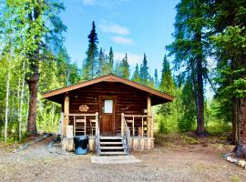 Carlo Creek Cabins，位于麦金利公园的酒店