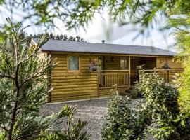 Fern Lodge - 2 Bedroom Log Cabin - Saint Florence - Tenby，位于Saint Florence的木屋