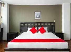 Hotel Haley，位于莱昂的酒店