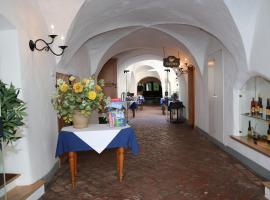 Hotel - Gasthof zum Schwan，位于Traismauer的酒店