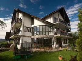 Pensiunea Casa Boiereasca