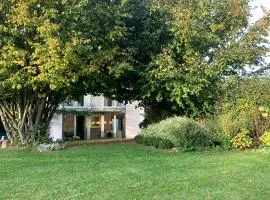 Wisteria Guest House