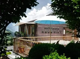 豪斯希尔特高山Spa酒店