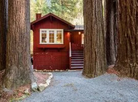 Redwood Retreat! Redwoods! Walk to River!! Hot Tub!! BBQ! Central Air!!