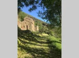 La Pellegrine, Parc national des Cévennes