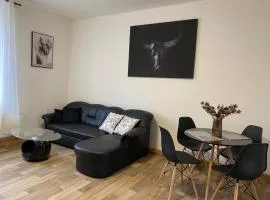 Apartmány Černý Tulipán 2