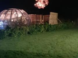 La bulle au bois dormant d'ovifat，位于罗伯特维尔的酒店