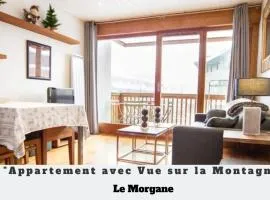 2 Appartements à Chamonix centre ville, vue Mont-Blanc, Lyret ou Morgane