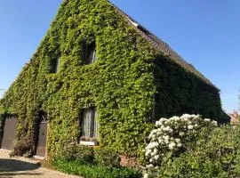 B&B Carisma