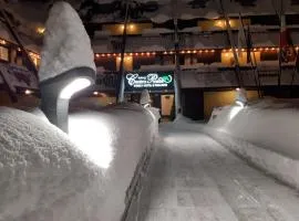 皮妮塔中心家庭健身旅馆