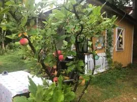 Apple tree cabin with river views