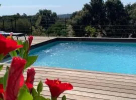 Villa Le Figuier 6 pers piscine chauffée 2 min plage en voiture