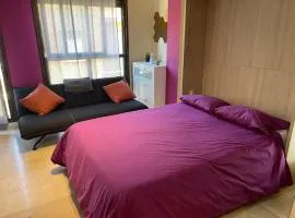 Wonderfull studio very close to the city center