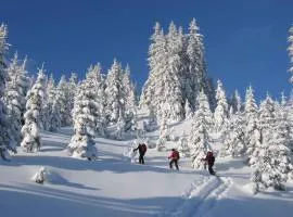 Apartments in Eisenerz/Steiermark 35486