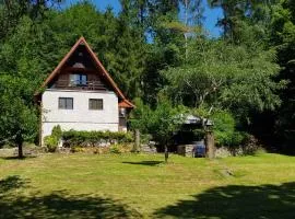 Holiday home in Hluboka nad Vltavou 35283