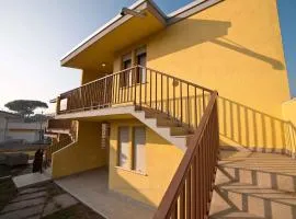 Apartments in Rosolina Mare 24915