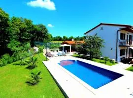 House and Apartments in Labin 8758