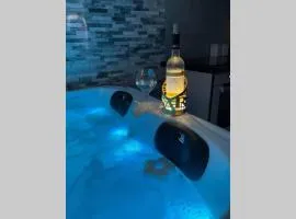 Joli T2, jacuzzi, lit rond, jardin, parking privé, métro