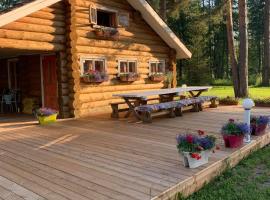 Trepimäe Holiday House，位于Vehendi的酒店