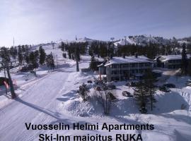 Vuosselin Helmi Apartments，位于鲁卡的酒店