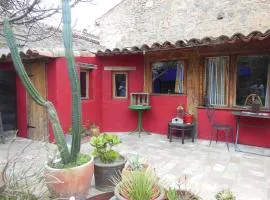 maison dans jardin