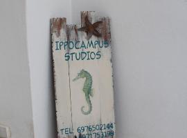 Hippocampus Studios 2' walk from the sea，位于Moutsouna Naxos的酒店