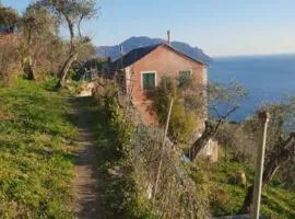 Pace tra gli ulivi e il mare