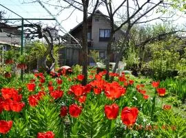 Milorava's Guest House & Wine Cellar