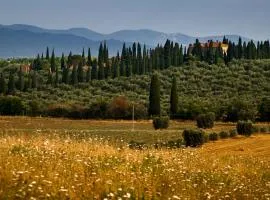 Tenuta di Poggio Cavallo