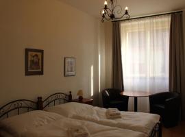 Hotel Černý kůň，位于洛乌尼的酒店