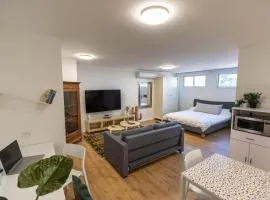 Sheba-Shik apartment, Tel hashomer שיבא-שיק, תל השומר,דירת סטודיו מקסימה!