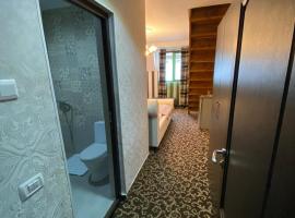 Hanu Satului，位于康斯坦察的酒店